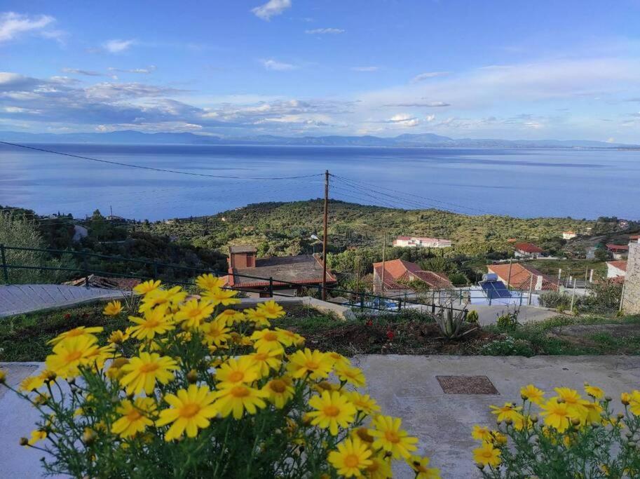 Κατοικία Πανόραμα, Πραγματευτή Λεωνιδίου, Τ.Κ.22300 Leonídion Exterior foto